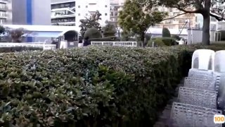 刚刚更新成人视频.久久是热频国产日本免费一区香蕉视频,亚洲毛片免费一级,国产在线精品一区亚洲毛片免费一级,国产在线精品一区二区不卡麻豆